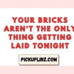 Brick Pickup Lines