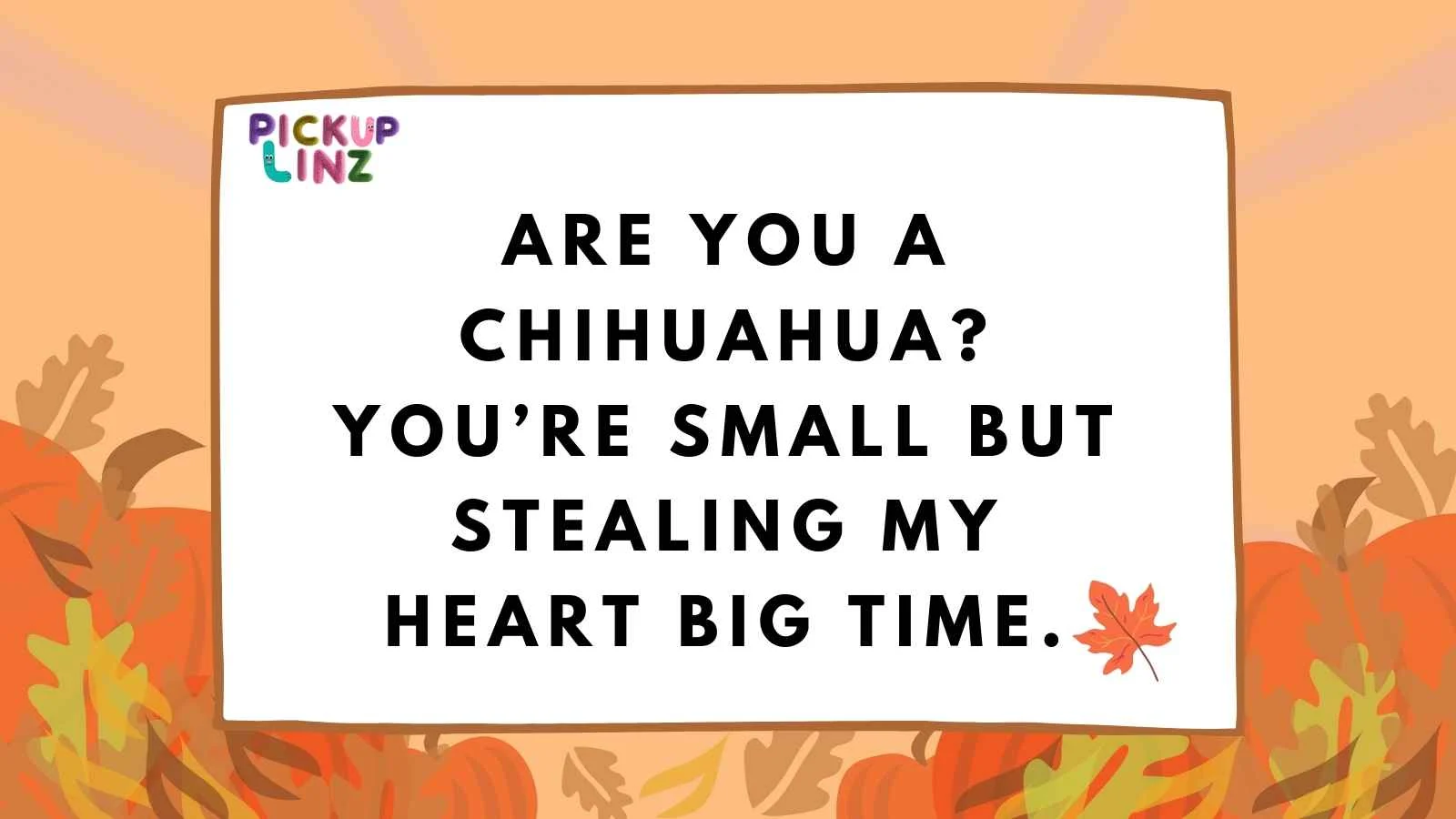 Chihuahua Pickup Lines