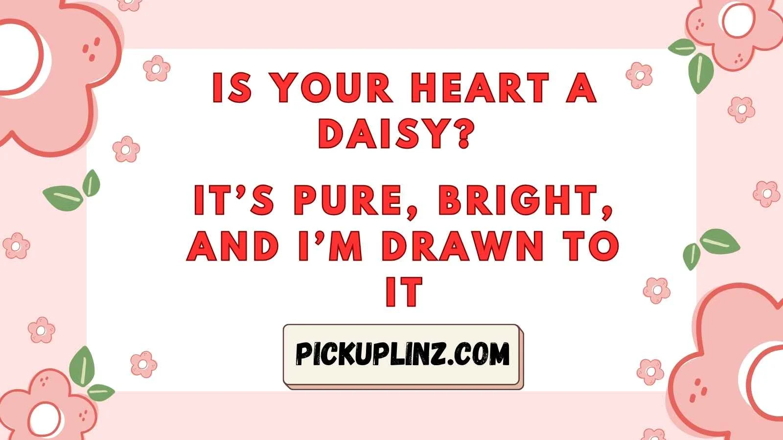 Daisies Pickup Lines
