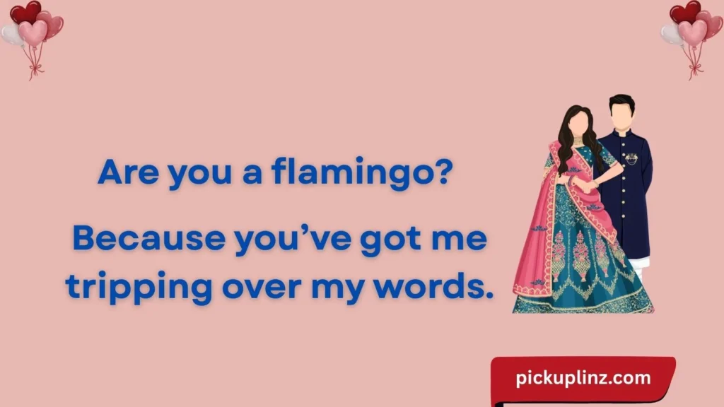 Funny Flamingo Lines