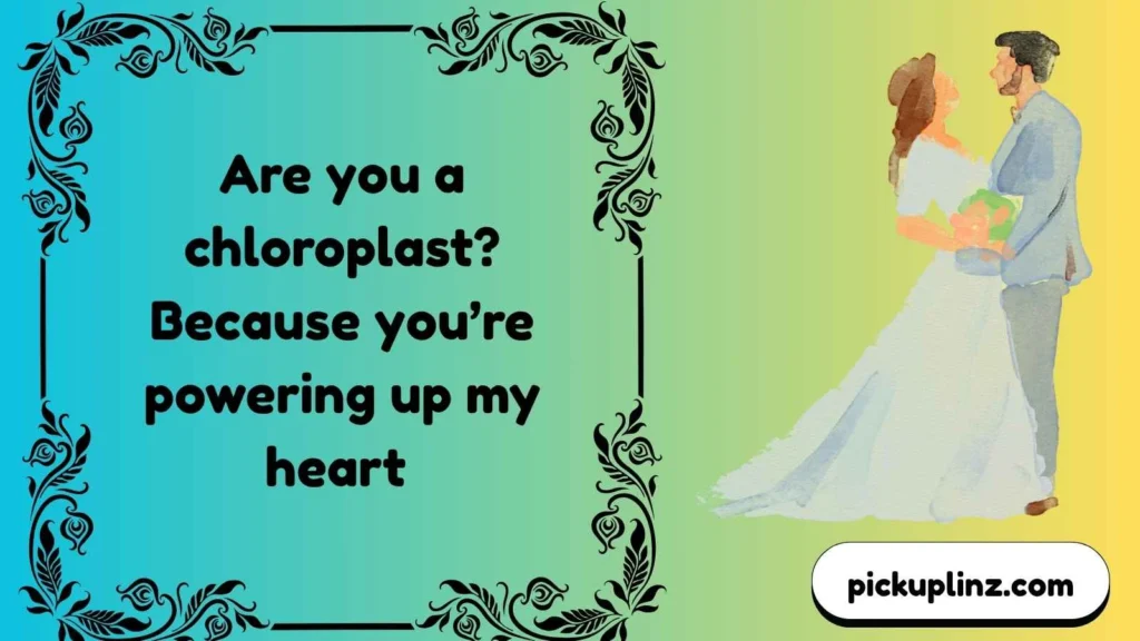 Smooth Chloroplast Lines for Him
