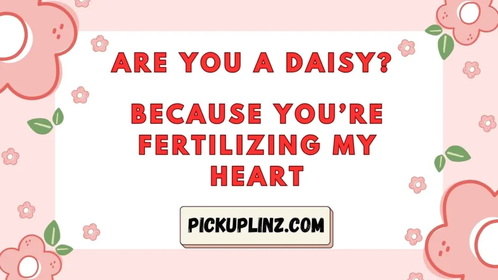 Cheesy Daisies Lines