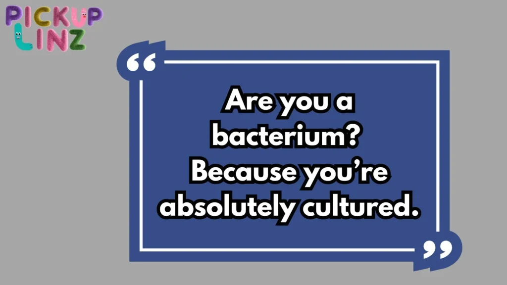 Cheesy Bacterial Bites