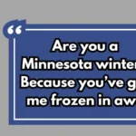 Minnesota Pickup Lines