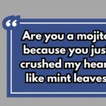 Mojito Pickup Lines