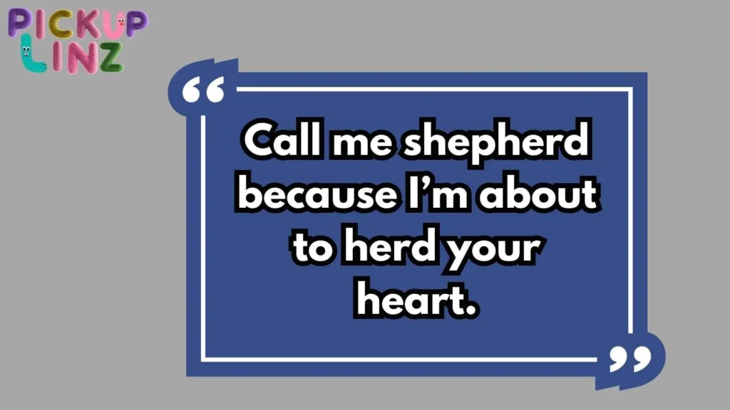 Amazing Shepherd Pickup Lines