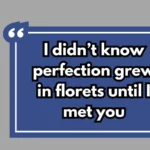 Cauliflower Pickup Lines
