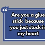 Craft Pickup Lines