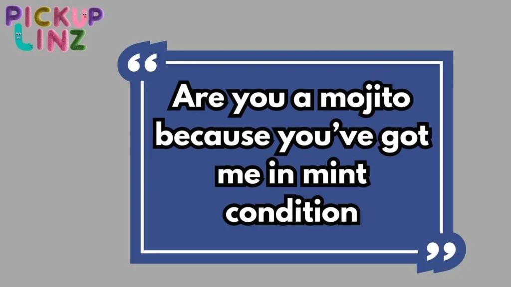Funny & Punny Mojito Lines