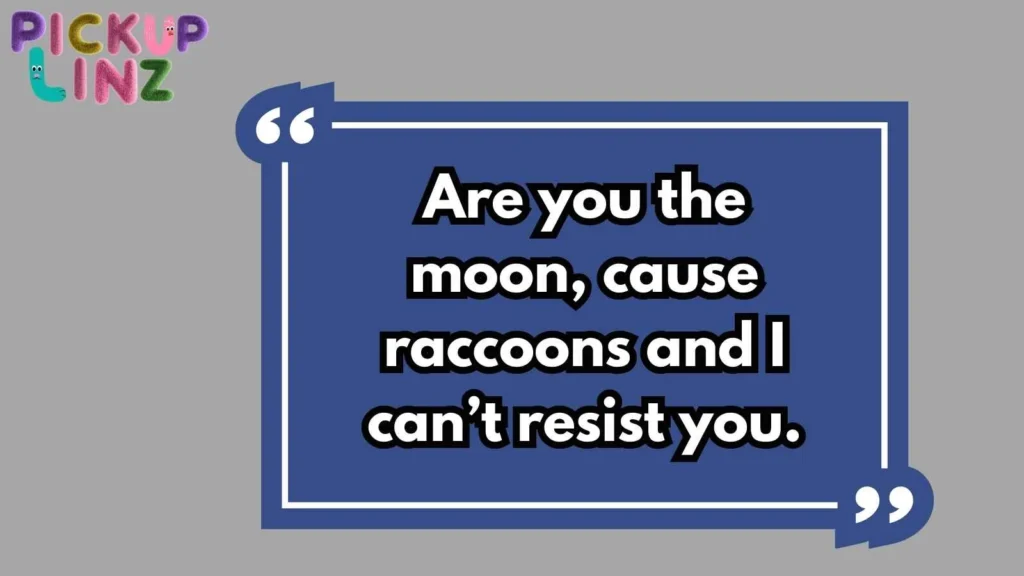 Funny Raccoon Pickup Lines