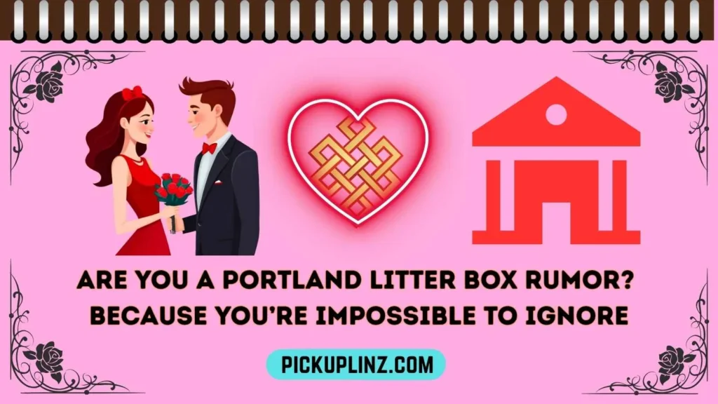 Litter Boxes in Portland Oregon