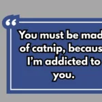 Purr Pickup Lines