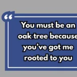 Acorn Pickup Lines