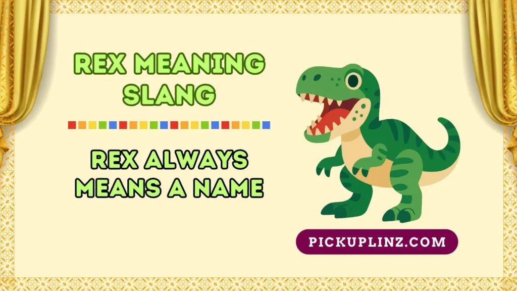 Common Misconceptions About Rex