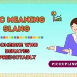 NPC Meaning Slang