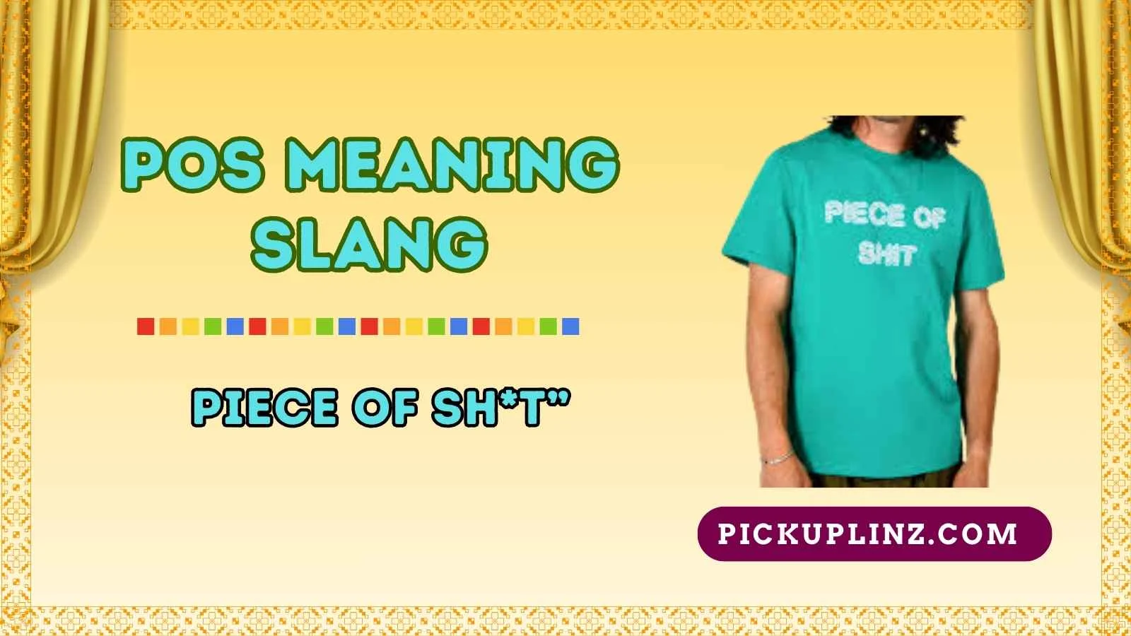 POS Meaning Slang