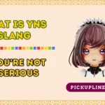 What Is YNS Slang