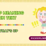 WSP Meaning in Text